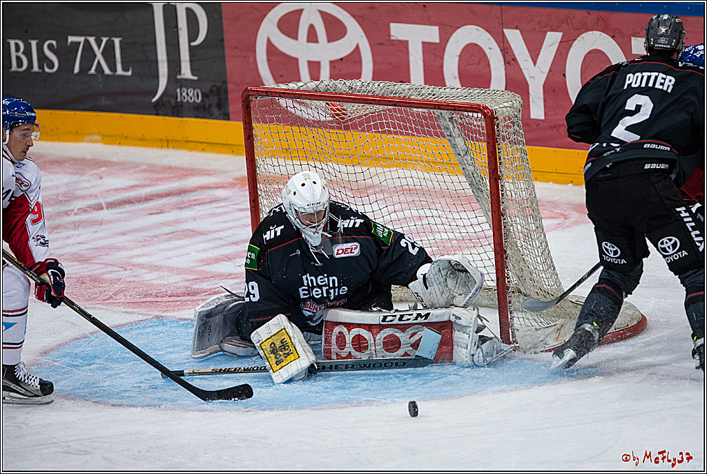 DEL, Koelner Haie - Adler Mannheim, 05.02.2017